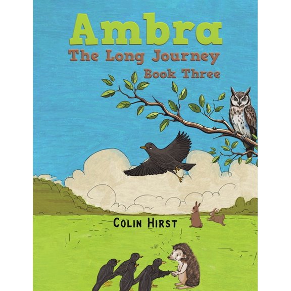 Ambra: The Long Journey, (Paperback)
