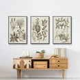 thumbnail image 6 of Sepia Botanical Journal VI - Framed Premium Gallery Wrapped Canvas L Frame 3 Piece Set - Ready to Hang, 6 of 9