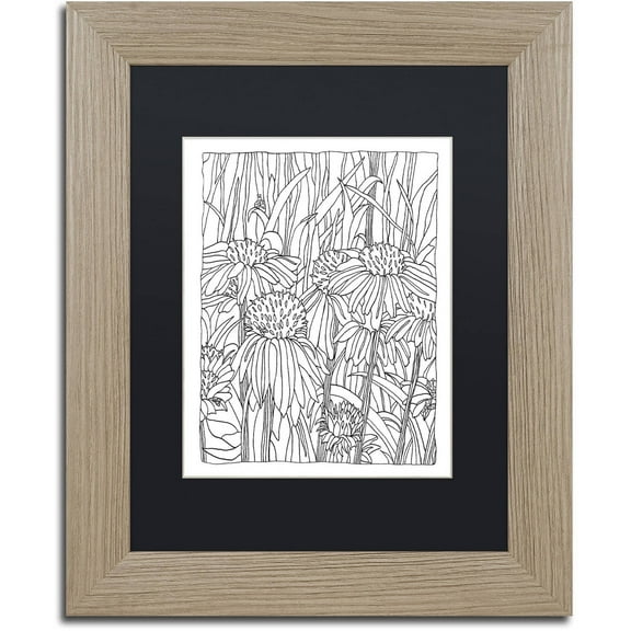 Trademark Fine Art "Echinacea" Canvas Art by Kathy G. Ahrens, Black Matte, Birch Frame