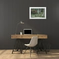 thumbnail image 3 of Flaherty, Dennis 32x23 White Modern Wood Framed Museum Art Print Titled - South Carolina, Charleston Trees and pond, 3 of 4