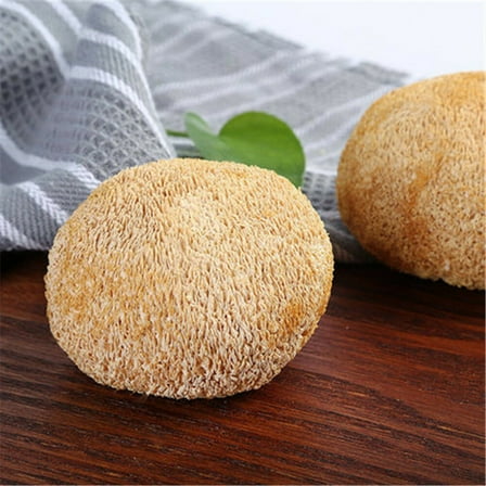 100% Organic 500g(1.1LB) Natural  Dried Lion's Mane Mushroom Chinese Herbs Green Food