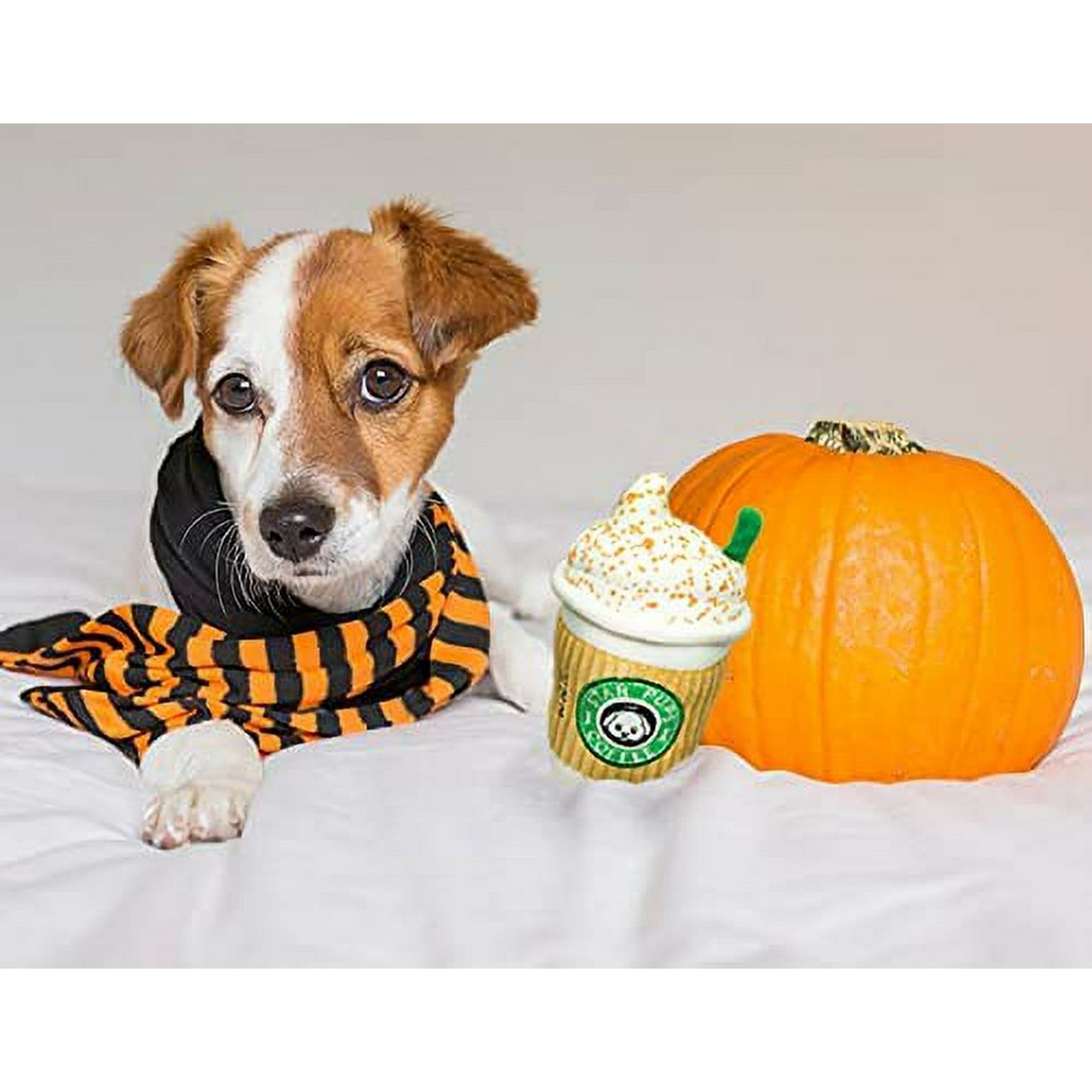 Holiday dog toys 2025