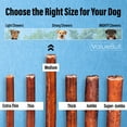 thumbnail image 3 of ValueBull Bully Sticks for Dogs, Medium 6 Inch, 50 Count, 3 of 7