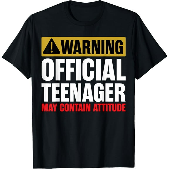 13 Birthday Official Teenager Boy 13yr Math 13th Birthday T-ShirtMen and women, Black T-shirt, size: Extra large