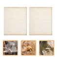 thumbnail image 2 of 20 Pcs Sacs de Cuisson Réutilisables avec Cordon pour Soupe, Chaussettes, Épices, 2 of 5