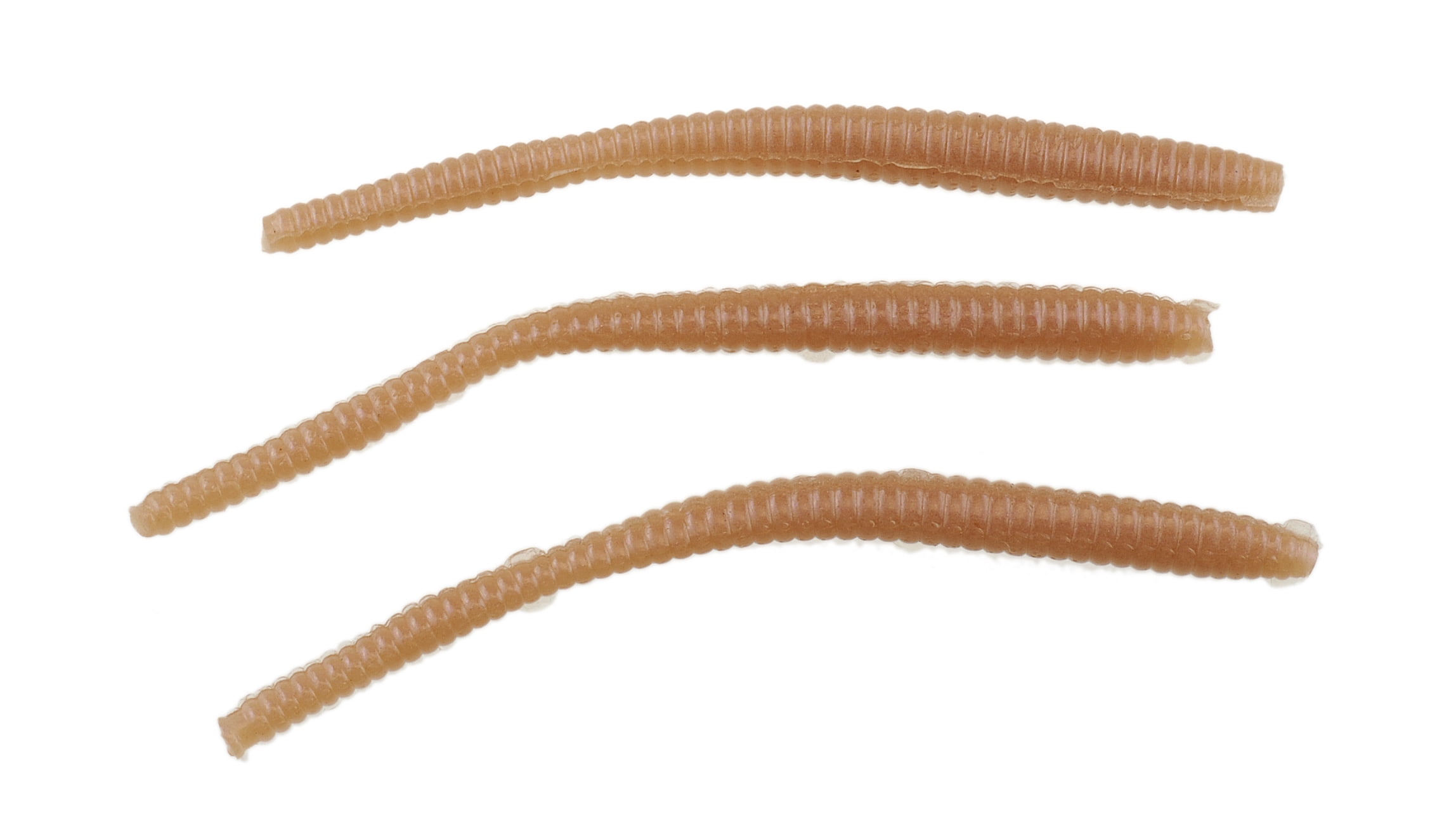 (2 pack) Berkley PowerBait Power Floating Trout Worm Fishing Bait, Natural, 3in | 8cm
