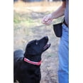 thumbnail image 3 of Chuckit! Dog Treat Pouch Portable Travel Puppy Training Bag for Treats, 1-Cup Capacity, Pack of 1, Assorted Colors, 3 of 11