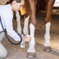 thumbnail image 3 of Spray para el cuidado de heridas en mascotas NEXDERMA Silvet 100 ml, 3 of 8