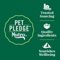 thumbnail image 4 of NUTRO Wholesome Essentials Adult Salmon & Brown Rice Natural Dry Cat Food 1.4kg, 4 of 18