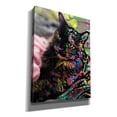 thumbnail image 2 of Epic Graffiti 'Deb Sebul 1' by Dean Russo, Canvas Wall Art, 12"x16", 2 of 8