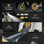 Electric Dirt Bike with 3000W Motor, Pescroa Electric Motorcycle with 42MPH Max Speed, Kids & Adults Dirt Bike for Ages 13+, Kids Motorcycle with 50 Miles Max Range, Dual Hydraulic Disc Brakes