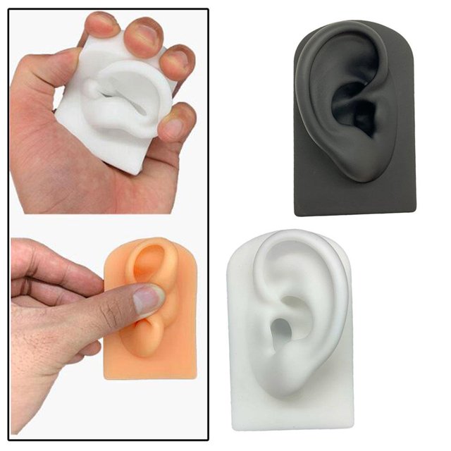 Accesorios de exhibición shamjiam herramientas de enseñanza Modelo de oreja de silicona para estudiantes y profesores