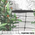 thumbnail image 4 of Red de Enrejado de Jardín de 60 cm Red de Soporte para Plantas de Jardín de Alta Resistencia Red de Enrejado de Pepino de Cultivo de Plantas Trepadoras, 4 of 5