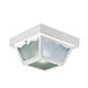 Design House 501858 Lampe de Plafond d'Extérieur - Finition Polypropylène Blanc de 10,5 x 5,5 Po – image 1 sur 5