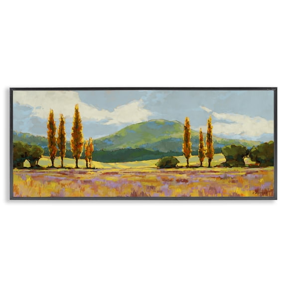Stupell Industries Contemporary Countryside with Dabbled Pastels Black Framed Giclee Art, 24 x 10, by Trevor Copenhaver