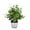 D, variant on Small Artificial Potted Plants, Faux Decorative Plants in White Plastic Pots for Home Office Indoor Outdoor Greenery Decorations, 8.66x2.55 inch