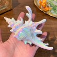 thumbnail image 1 of Pinza para el pelo de tiburón, accesorios para el cabello con garra grande de concha de mar, horquillas con temática de océano, horquillas elegantes para mujeres, niñas y niños, 1 of 5