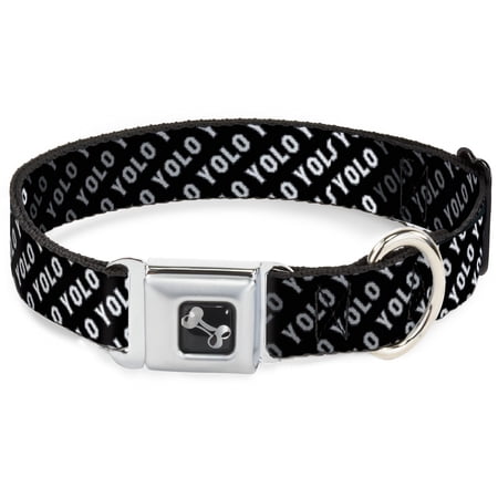 Buckle-Down Pet Collar Dog Collar Metal Seatbelt Buckle YOLO Diagonal Black Gray White 20 to 31 Inches 1.5 Inch Wide