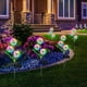 thumbnail image 3 of Lámpara solar enchufable de diente de león para exteriores, impermeable, luminosa, simulación de cebolla de tres cabezas, decoración de jardín, lámpara de césped, 3 of 3