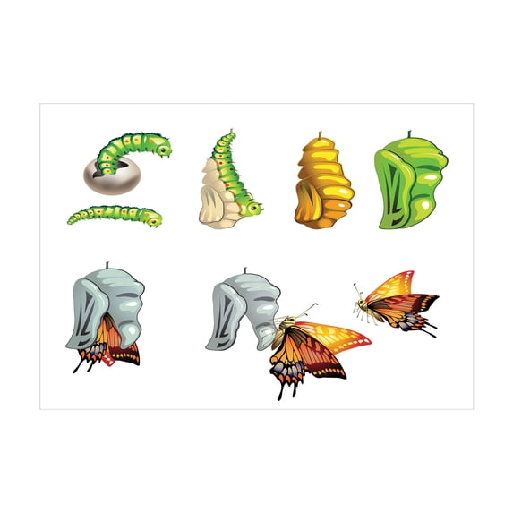 Ambesonne Butterfly Jigsaw Puzzle, Cocoon Nature Cycle, Heirloom-Quality Fun Activity for Family Durable Cardboard, 1000 pcs, Multicolor