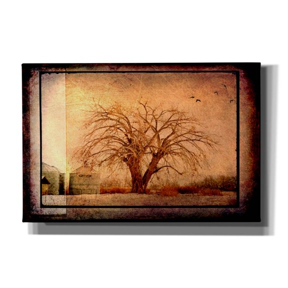 Epic Graffiti 'For the Love of Trees IV' by Lightbox Journal, Canvas Wall Art, 18"x12"