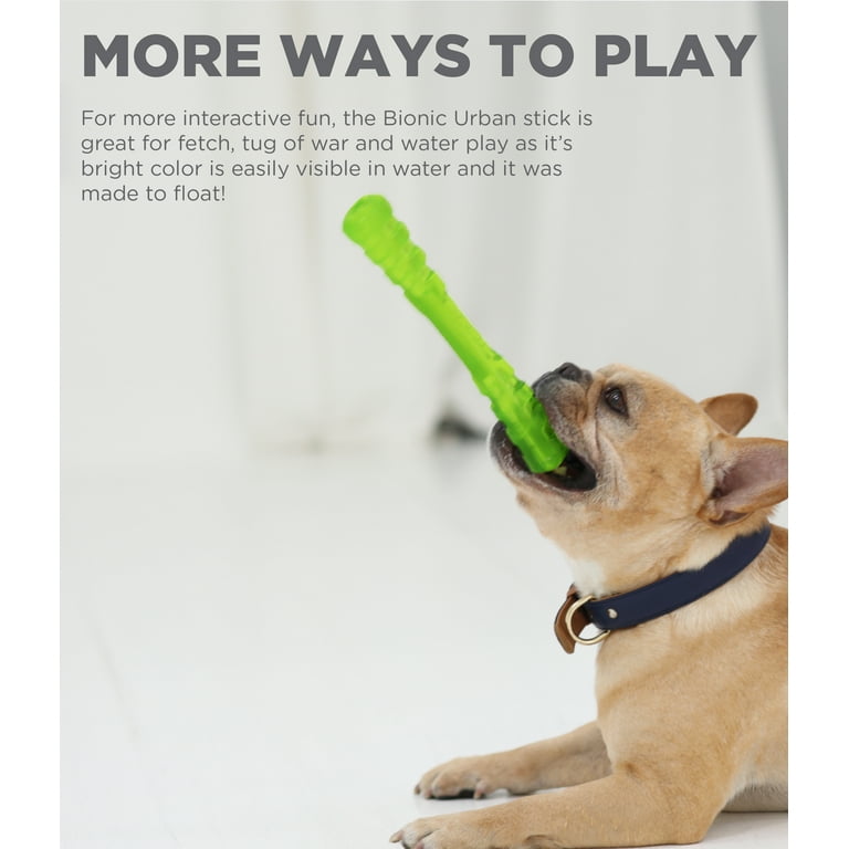 The 11 Best Durable Dog Toys