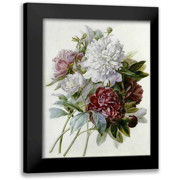 Redoute, Pierre Joseph 12x14 Black Modern Framed Museum Art Print Titled - A Bouquet of Red, Pink and White Peonies