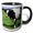 Black/White, variant on 3drose, Netherlands, North Holland. Dutch Cows in Field., 11oz Magic Transforming Mug