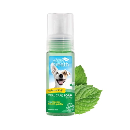 TropiClean Fresh Breath Mint Foam for Dogs & Cats with Green Tea Leaf Extract, 4.5oz