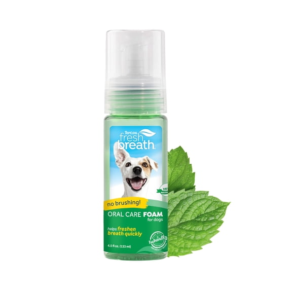 TropiClean Fresh Breath Mint Foam for Dogs & Cats with Green Tea Leaf Extract, 4.5oz