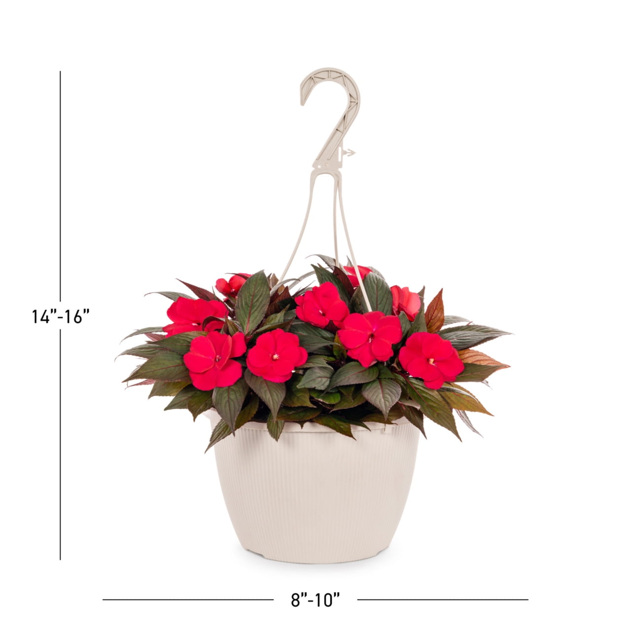 Expert Gardener Pink New Guinea Impatiens Live Annual Plant, 1.5G Hanging Basket
