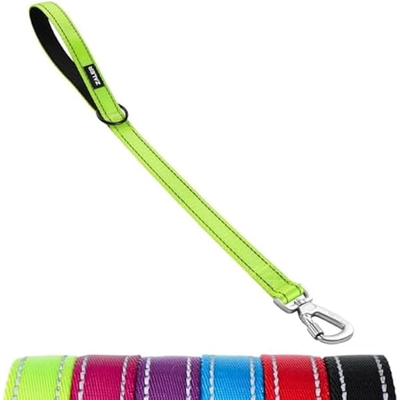 Eryueer Short Dog Leash 2 ft, 24 Inches Traffic Leashes for Dogs, Nylon Reflective Dog Lead with Padded Handle, Heavy Duty Pet Leash with Carabiner Clip for Large and Medium Dogs (24" Green)