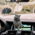 thumbnail image 3 of PYPESEEWY Home Decor Clearance Cat Dog Car Hanging Ornament,Deco Rear View Mirror,Funny Plane Deco, 3 of 3
