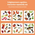 thumbnail image 4 of maytalsory Jeu de Société Interactif Parent-Enfant Coloré pour Enfants, 4 of 9