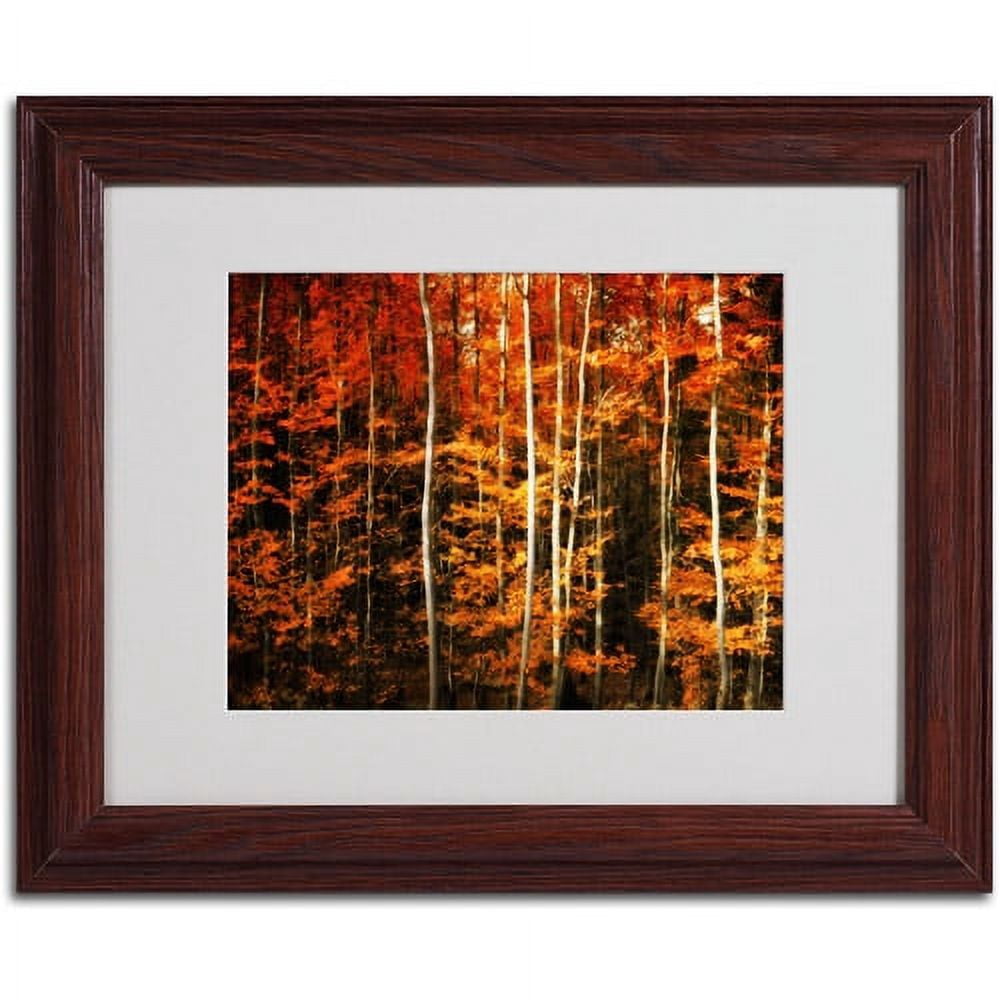 Trademark Fine Art "Still Painting" Canvas Art by Philippe Sainte-Laudy, Wood Frame