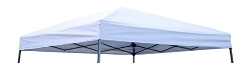 8 x 8 canopy replacement top