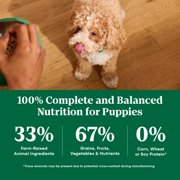 Nutro Natural Choice Puppy Food Dry Recipe Lamb & Brown Rice, 4.5 Lb Bag