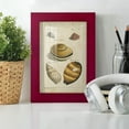 thumbnail image 6 of Vintage Shell Study IV -Framed Print w/glass-Cherry Red, 6 of 8