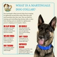 thumbnail image 6 of Country Brook Petz® 1 1/2 inch Royal Blue Martingale Heavyduty Nylon Dog Collar, Large, 6 of 7