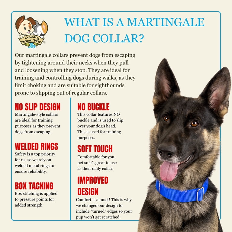 Country Brook Petz HossFit Jr Martingale Dog Collar, Medium photo 6