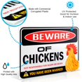 thumbnail image 6 of Beware of Chickens Warning Sign | 9" x 12" | Danger Sign Funny Gag Gifts for window, office, bedroom decor, lockers, etc. | Corr, 6 of 7