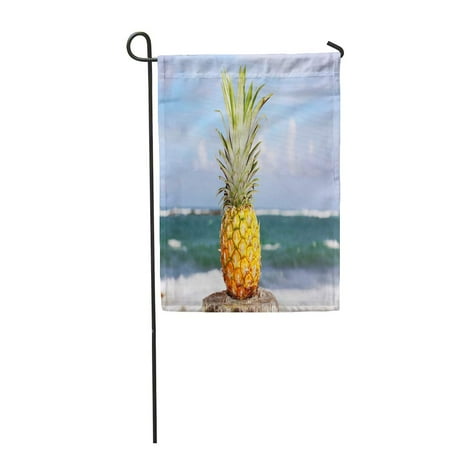 - LADDKE Green Plantation Pineapple Oceanfront Tropical Island Yellow Rum Beach Brazil Garden Flag Decorative Flag House Banner 12x18 inch