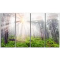 thumbnail image 2 of Misty Sunrise in Forest, 2 of 3