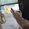 thumbnail image 5 of Varita interactiva para gato de 4 Uds., varita interactiva para gato, varita para gato de color con borla, juguete para gatito de interior, 5 of 5