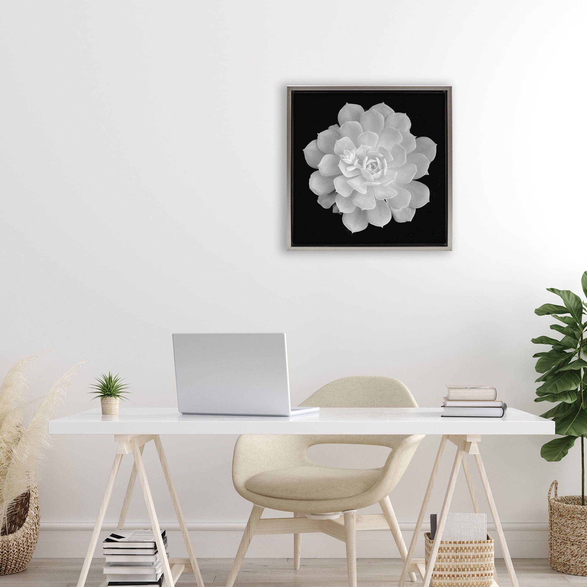 Pure White Succulent Contrast Gray Framed Floater Canvas Wall Art, design by Phillip Flowers
