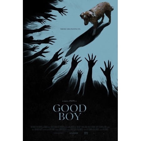 Good Boy (DVD) Box Set