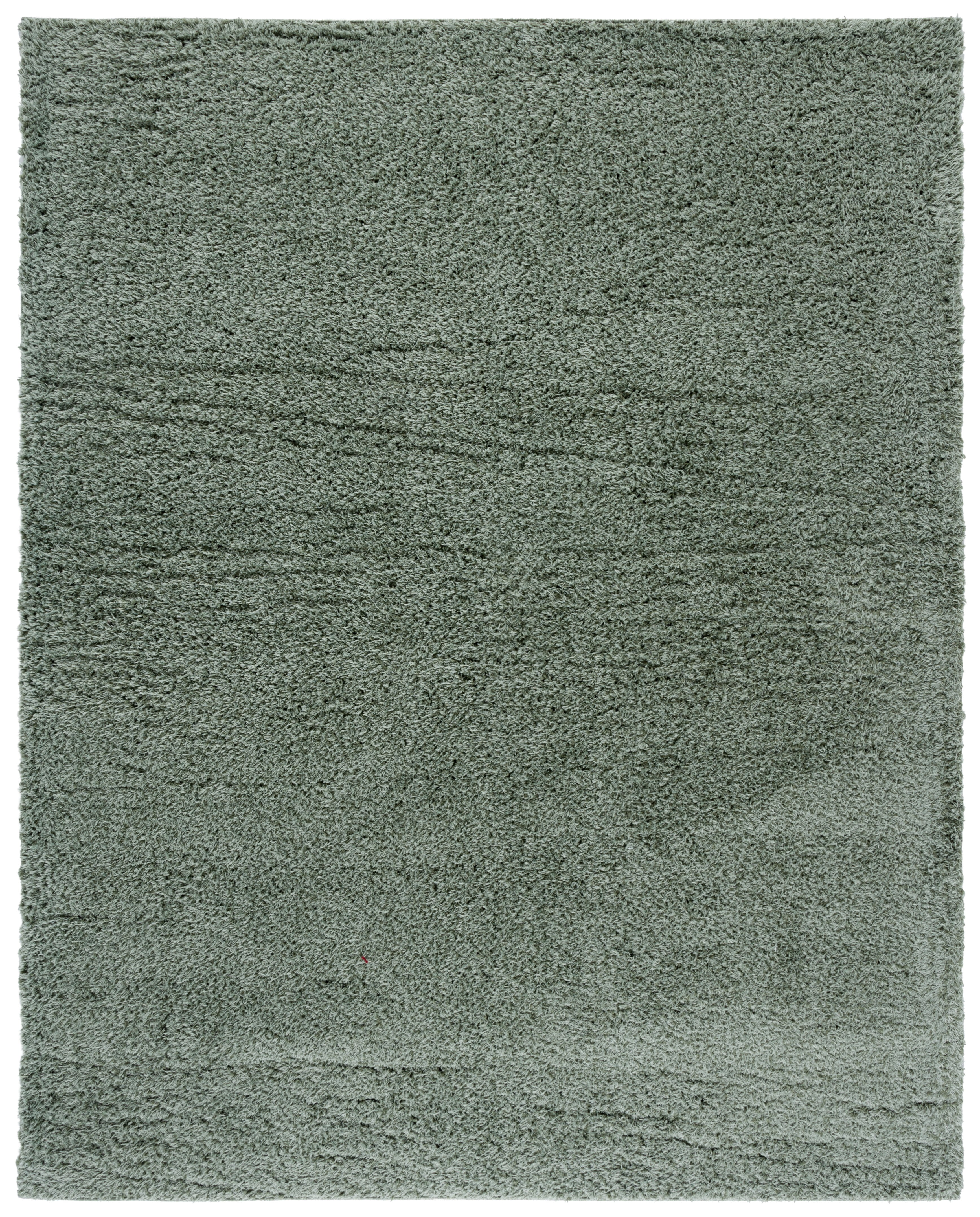 Safavieh Lindsay Deborah Solid Polyester Shag Area Rug, Green, 10' x 14'