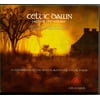 Celtic Dawn: Tales Of The New Age