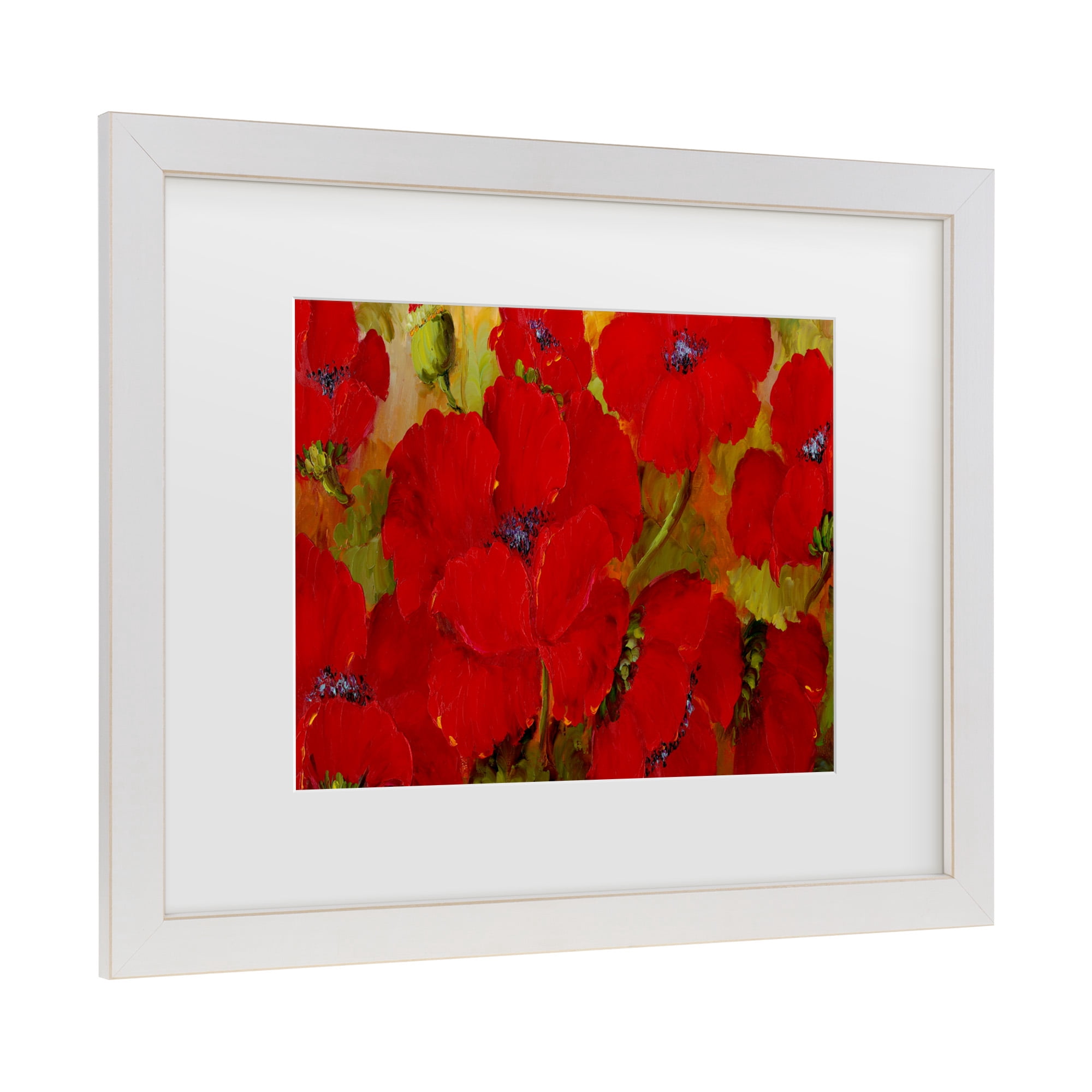 Trademark Fine Art 'Poppies' Canvas Art by Anonymous