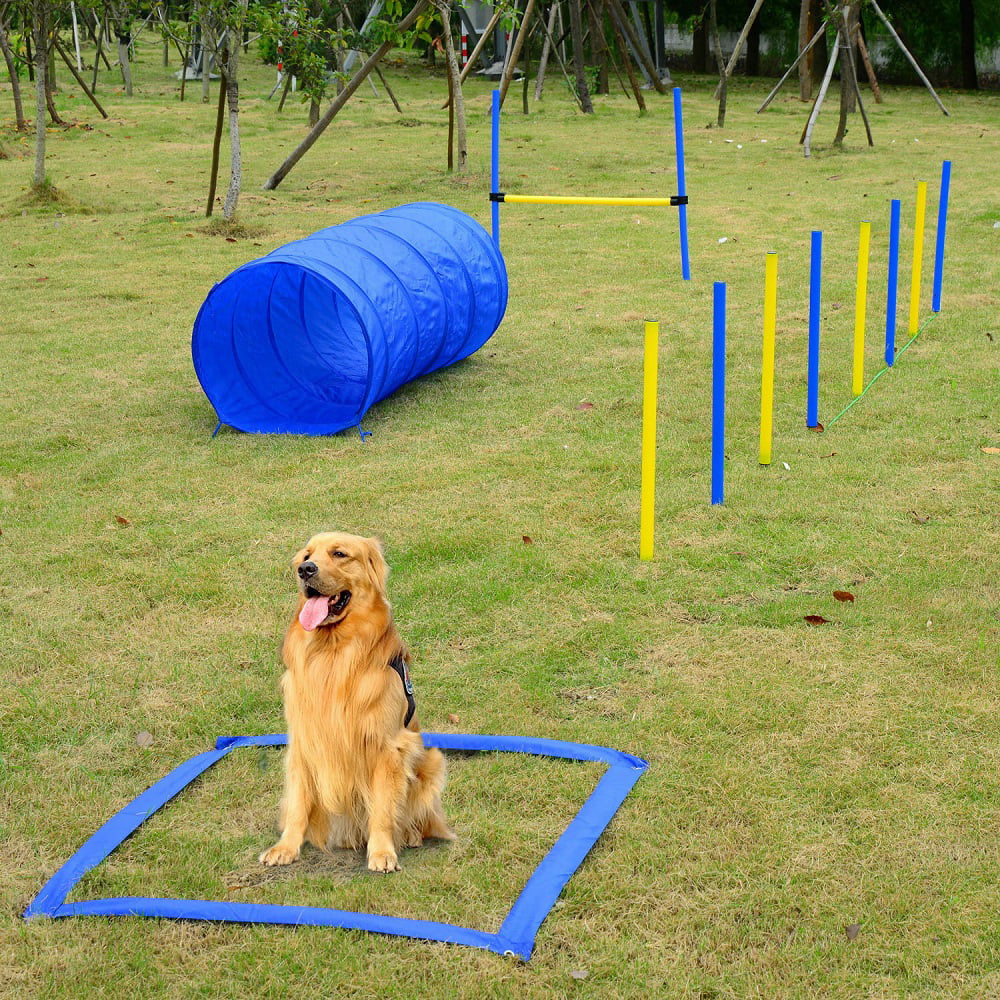 3 Pack Dog Obstacle Course Backyard Jump and Weaving Dog Training Toys MiMu Dog Agility Training Equipment